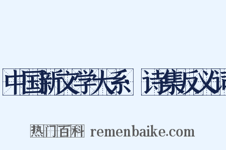 中国新文学大系·诗集反义词是什么意思的图片